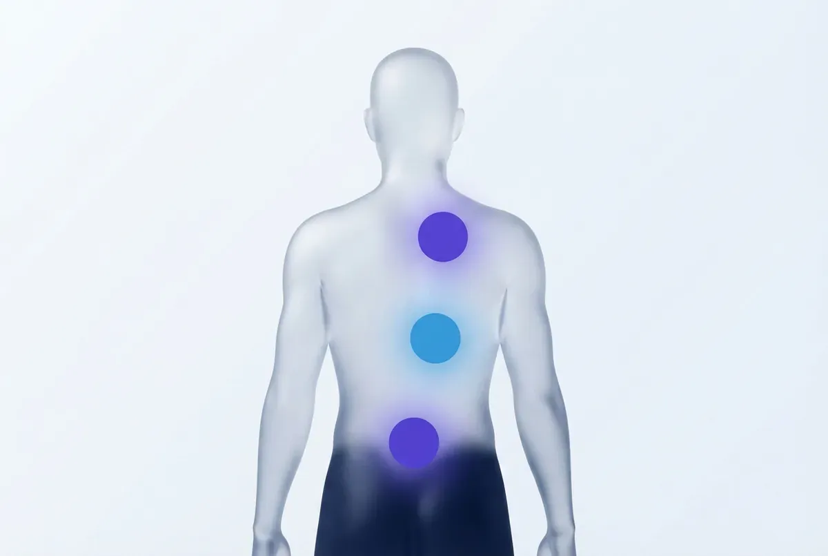 Torso humano translúcido visto de costas com três zonas luminosas marcadas